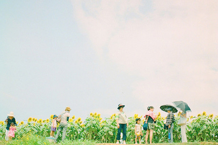 ���������12�������δ�ɶ�ã�