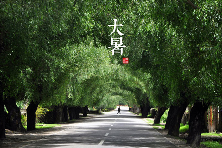 ������ը������������ϰ�ף�