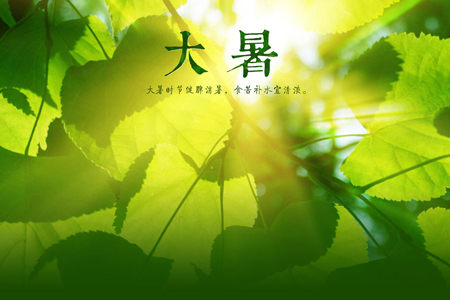 ���������Ф�ǵĿ���С��ʿ��