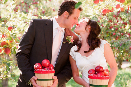 ��������������ѡ�����������