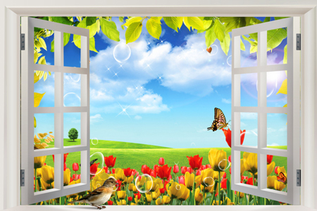 风水吉眼窗户打开见到啥为佳? 风水吉眼窗户打开见到啥为佳?