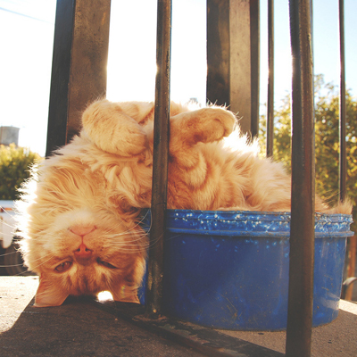 职场上啥事会让你压力山大? 职场上啥事会让你压力山大?