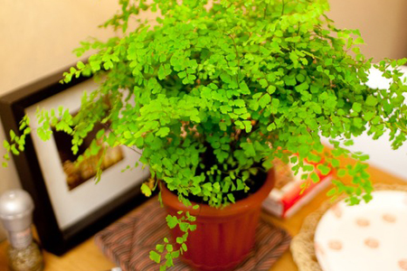 ���첻���žӼҿ��������