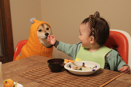 ����ȡ�����������������ۣ�