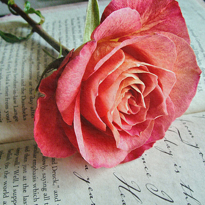 �һ��쵽������������ɫ��ɶ��