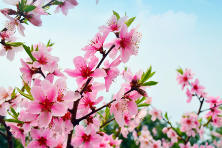 �һ�����������ܣ������ж���