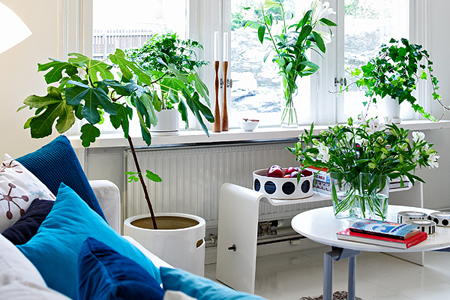 2016���ˣ�����С��Ϊ��ˮ�ӷ�