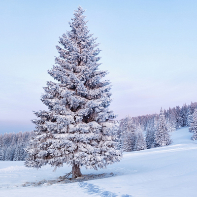 这个冬天你会遇到什么美事? 这个冬天你会遇到什么美事?