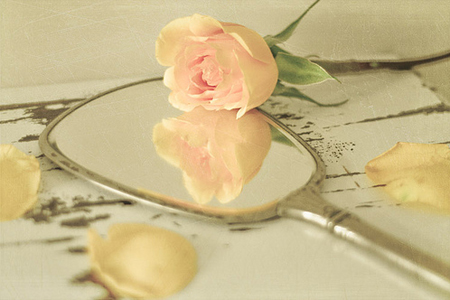 ù��Ҫ���ˣ���ЩԤ��Ҫ����