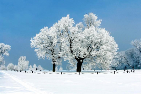 �������������ˮ�Ŀ�������