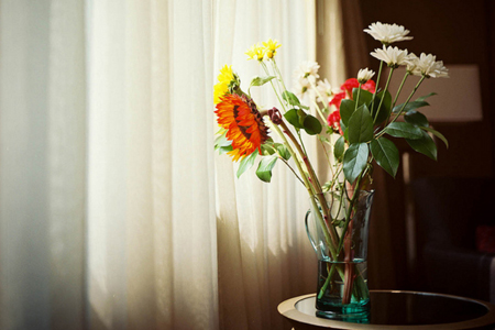 TOP3����Ʒ���鱣ƽ����լ�ر�