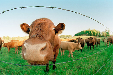 ����������ʲô����Χ�ۣ�