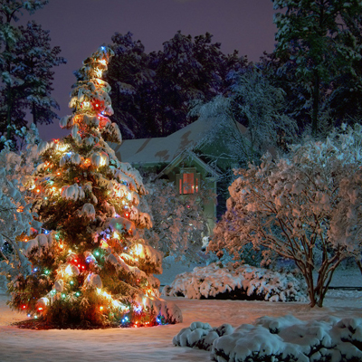 浪漫圣诞你合适去哪儿约会? 浪漫圣诞你合适去哪儿约会?