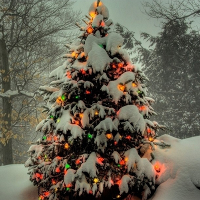 浪漫圣诞测你恋爱中的性格 浪漫圣诞测你恋爱中的性格