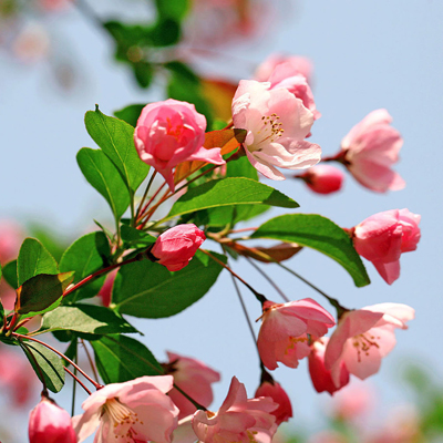 ��ĩ����һ����Ƿ�����أ�