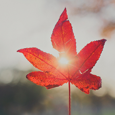 元旦新气象为何你狠缺钱? 元旦新气象为何你狠缺钱?