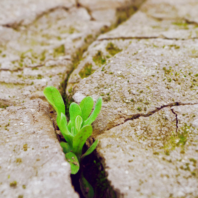 ���������Ĺؼ���Ҫ��ʲô��