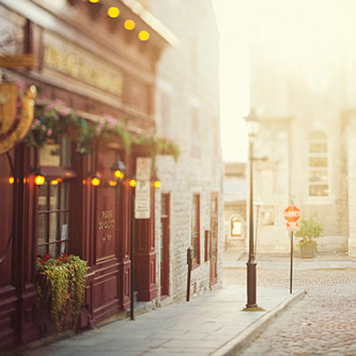 2016����г�������������