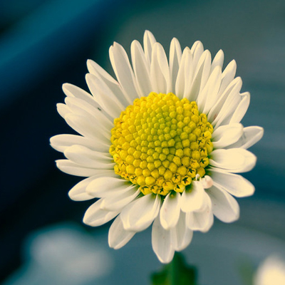 你要经历哪种磨难才会成熟? 你要经历哪种磨难才会成熟?