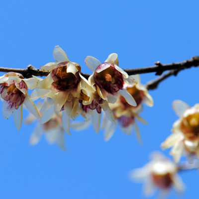 2016����������������ĺ��ˣ�