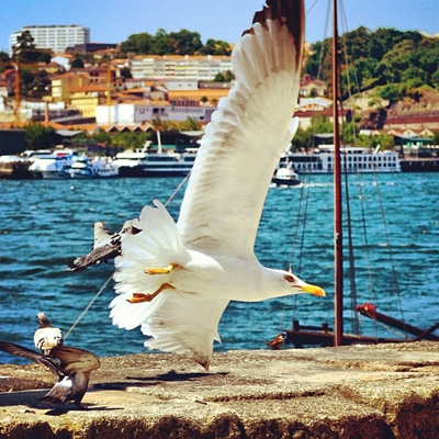 �����������»������̸���룿