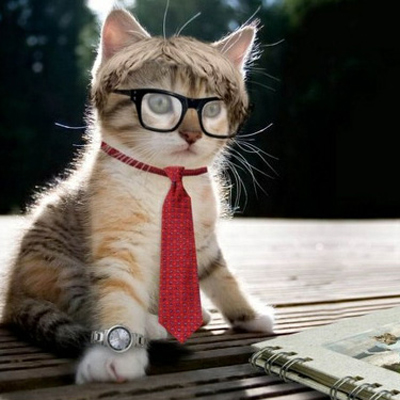 猴年你事业上的助推力是什么? 猴年你事业上的助推力是什么?