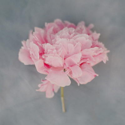 �������ĵ׻����������Ļ���