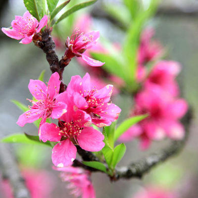 �������ˣ�����һ�ʢ������