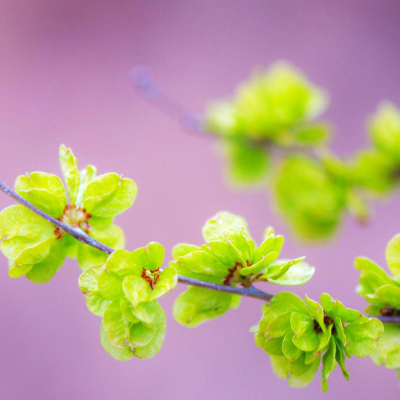 ���ش�غ����ķ���Ḵ�գ�