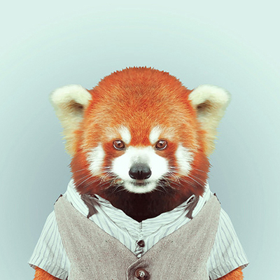 �����ķ������û�õķϲ�