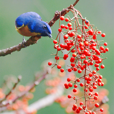 ˵�õĴ��죬���զ��û����