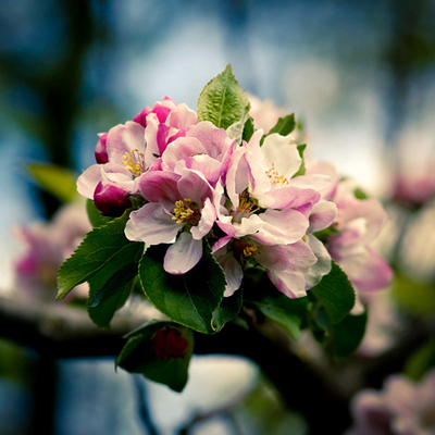 贯穿你2016年会是怎样的味道? 贯穿你2016年会是怎样的味道?