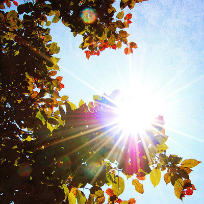 突发灾难前你有多少生存力? 突发灾难前你有多少生存力?