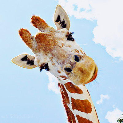 你社交待人的态度给人啥印象? 你社交待人的态度给人啥印象?