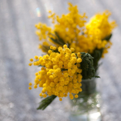 你该做点啥来涨些好运气呢? 你该做点啥来涨些好运气呢?