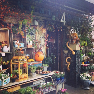 你的创业该往哪个方向发展? 你的创业该往哪个方向发展?