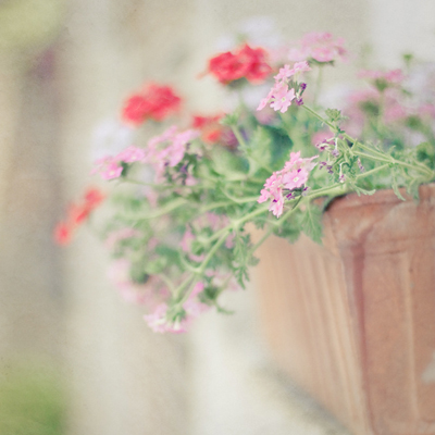 你被卷入爱情风波的指数多高? 你被卷入爱情风波的指数多高?