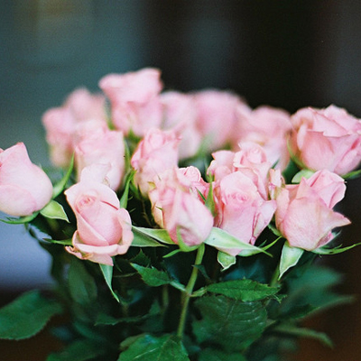 成功的掌声鲜花你啥时会有? 成功的掌声鲜花你啥时会有?