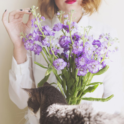 你这个2017年能否称心如意? 你这个2017年能否称心如意?