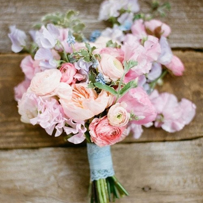 三月初春你的桃花开得有多艳丽? 三月初春你的桃花开得有多艳丽?