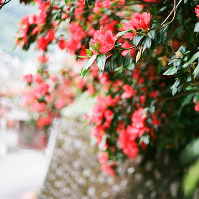 你的四月天哪方面会最惊艳? 你的四月天哪方面会最惊艳?