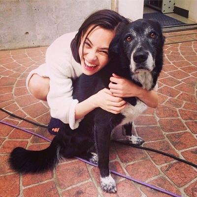 ������ϲ����������أ�