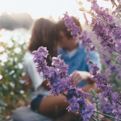 ���ɵ�����˳��컹���ڹ�����