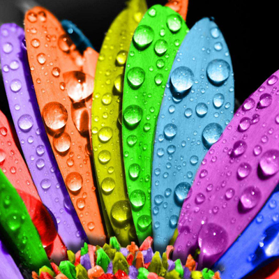 �ֽ׶����������ʲô��ɫ��