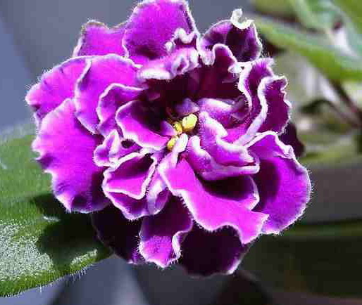 双击在新窗口按原始大小查看 点击查看下一页