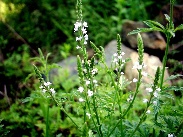 双击在新窗口按原始大小查看 点击查看下一页