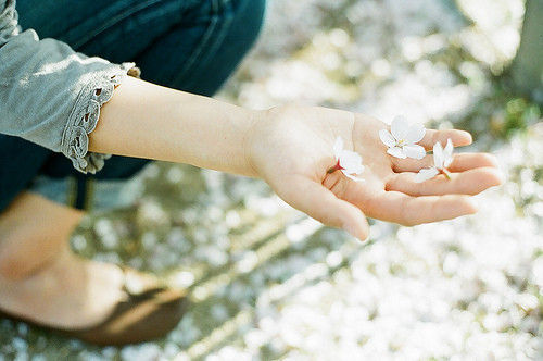 狮子一路疼一路爱着牛 狮子一路疼一路爱着牛