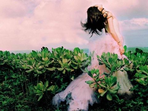 狮子想对射手说我恨你 狮子想对射手说我恨你