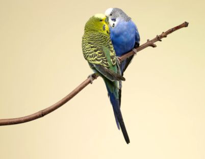 2011��˭�����׽�������