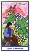 草药塔罗牌组图赏析